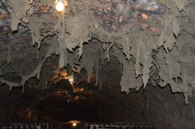 photo 1140299