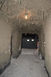 photo 1140309