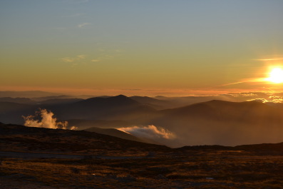 photo 1175075