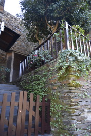 photo 1175498