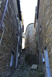 photo 1175515