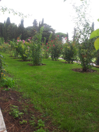 photo 391827