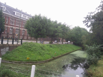 photo 351899