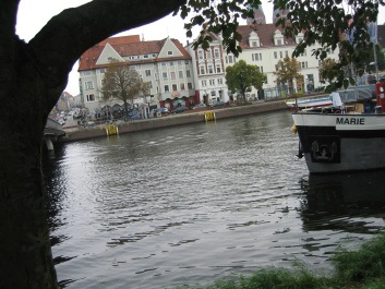 photo 341447