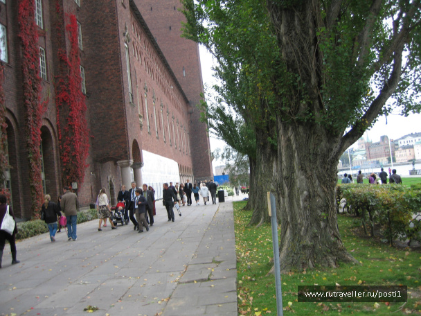 photo 344031