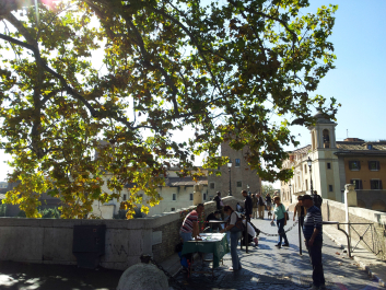 photo 644644