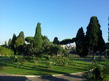 photo 645663