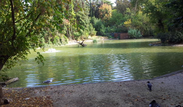 20131025_132332