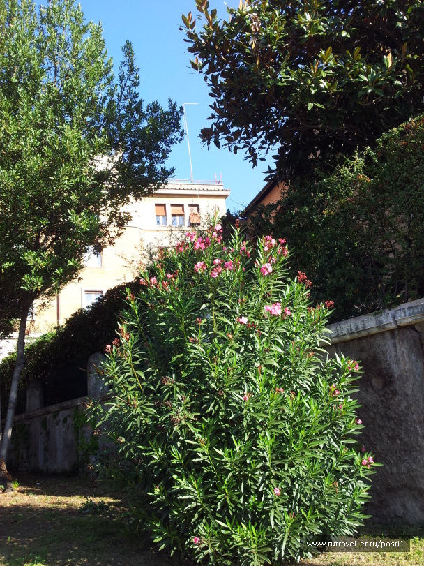 photo 575177