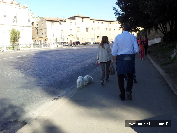 photo 579884