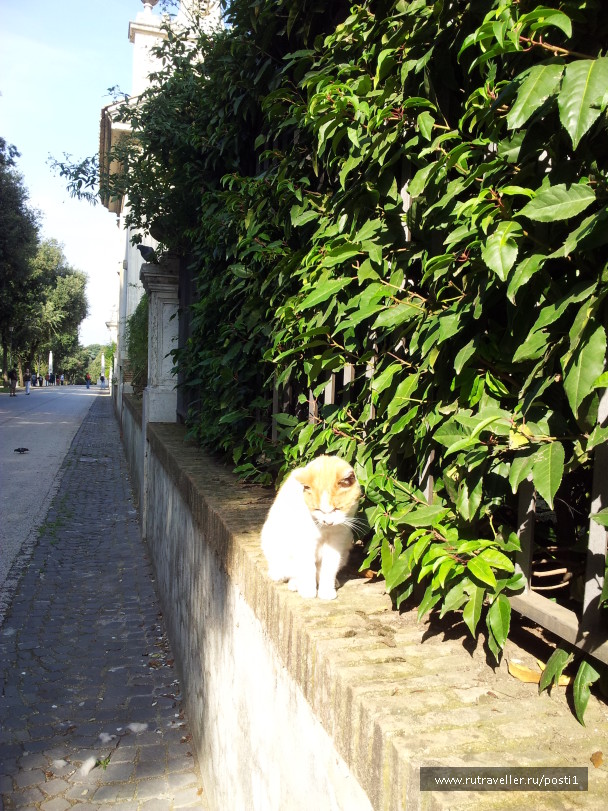 photo 579888