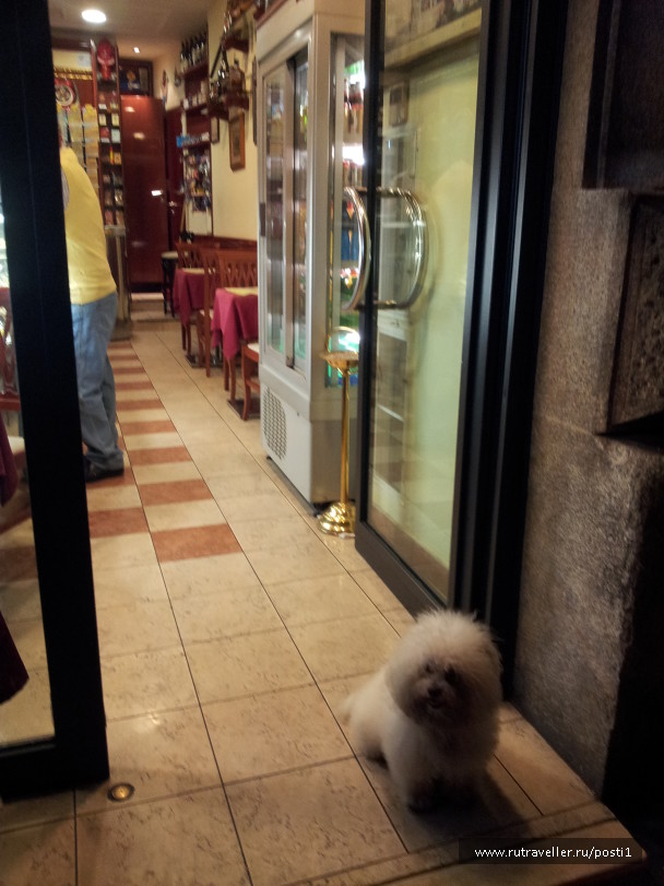 photo 579890