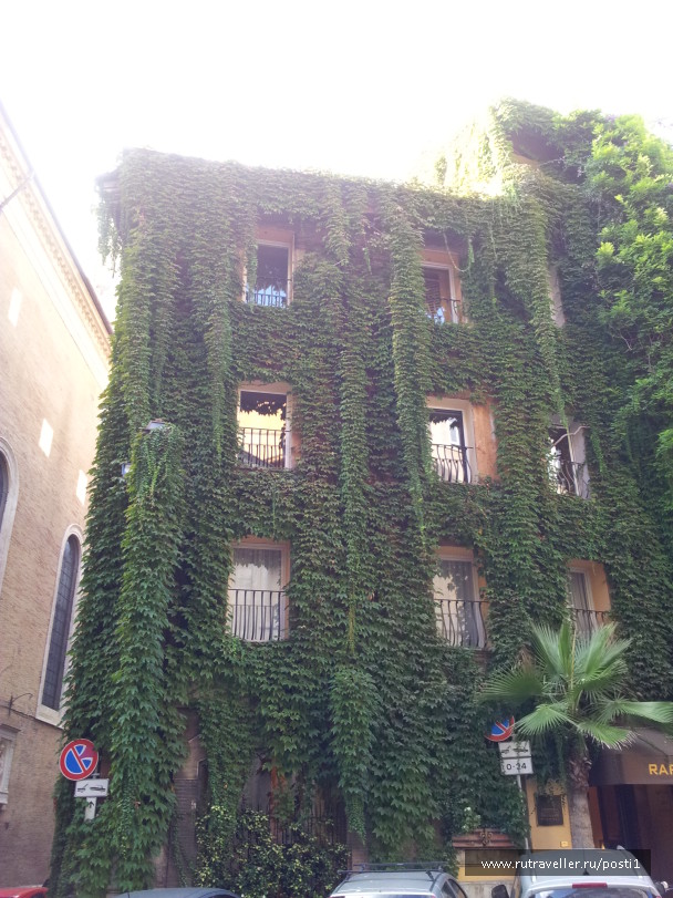photo 580766