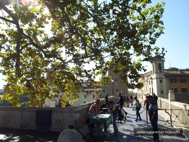 photo 581866