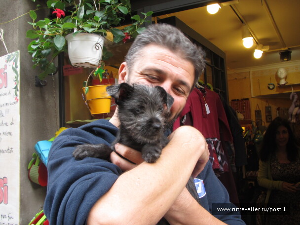 photo 1158962