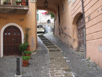 photo 1171793