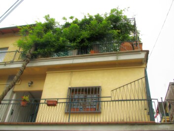 photo 1233598