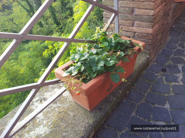 photo 591513