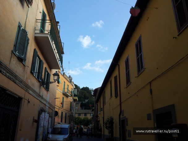 photo 596782