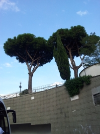 photo 673289