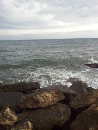 photo 632871