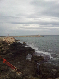 photo 632878