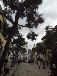 photo 633109