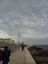 photo 633889