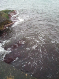 photo 633891