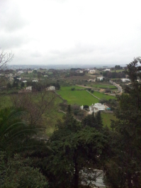 photo 633975