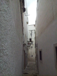 photo 633985