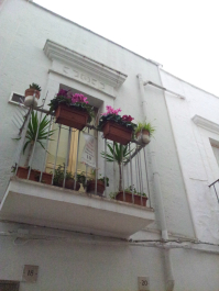 photo 633988
