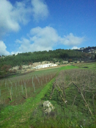 photo 709641