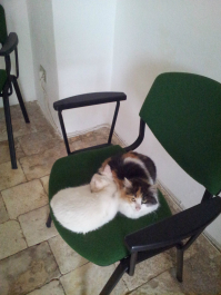 photo 709642
