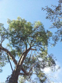 photo 722230