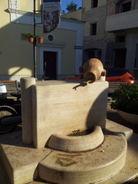 photo 722231