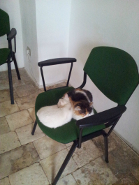 photo 722232
