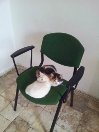 photo 722233