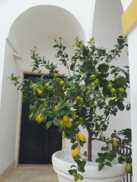 photo 722949