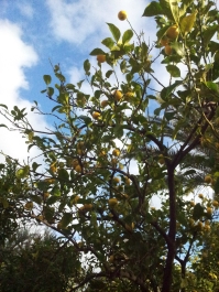 photo 939315