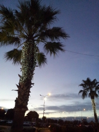 photo 939317