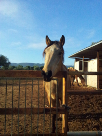 photo 633671