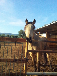 photo 633672