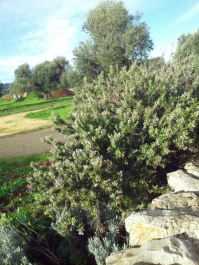 photo 634358