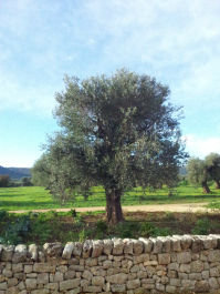photo 634359