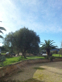 photo 634360