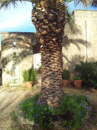 photo 696284