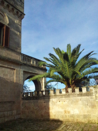 photo 696288