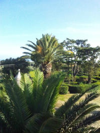 photo 696468