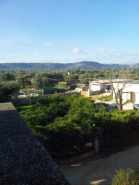 photo 696469